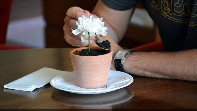 Ha! Uite nişte fotografii din Apropo Cafe!