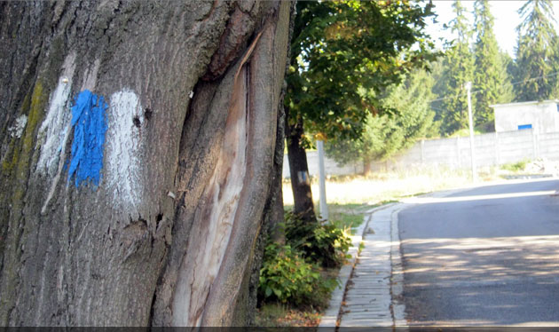 județul Suceava © Lucian SPETCU, 18 Septembrie 2011