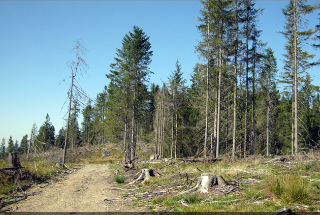 județul Suceava © Lucian SPETCU, 18 Septembrie 2011