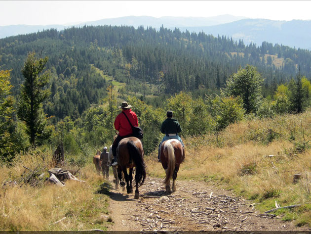 județul Suceava © Lucian SPETCU, 18 Septembrie 2011