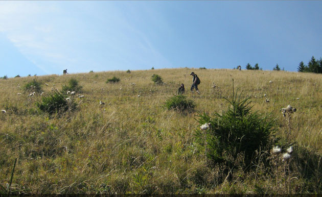 județul Suceava © Lucian SPETCU, 18 Septembrie 2011