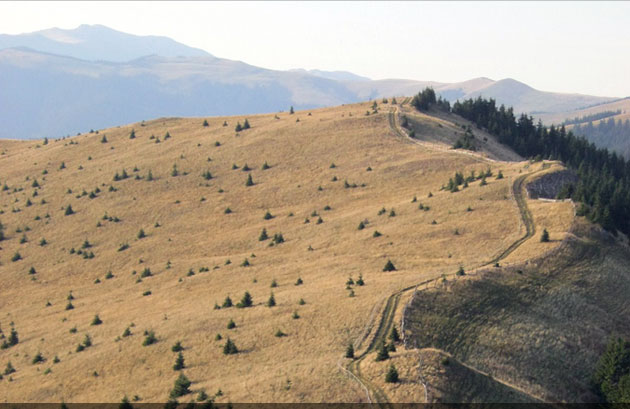 județul Suceava © Lucian SPETCU, 18 Septembrie 2011