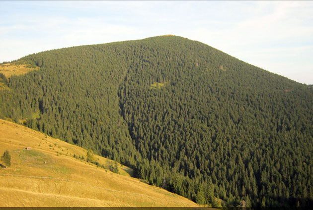 județul Suceava © Lucian SPETCU, 18 Septembrie 2011