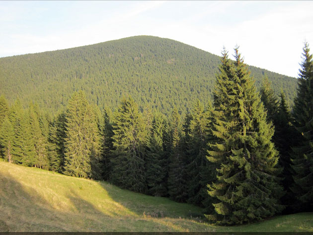 județul Suceava © Lucian SPETCU, 18 Septembrie 2011