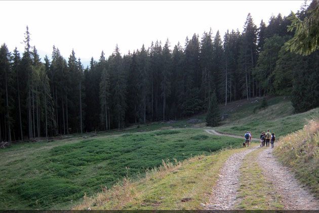 județul Suceava © Lucian SPETCU, 18 Septembrie 2011