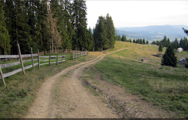 județul Suceava © Lucian SPETCU, 18 Septembrie 2011