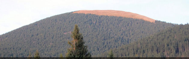 județul Suceava © Lucian SPETCU, 18 Septembrie 2011